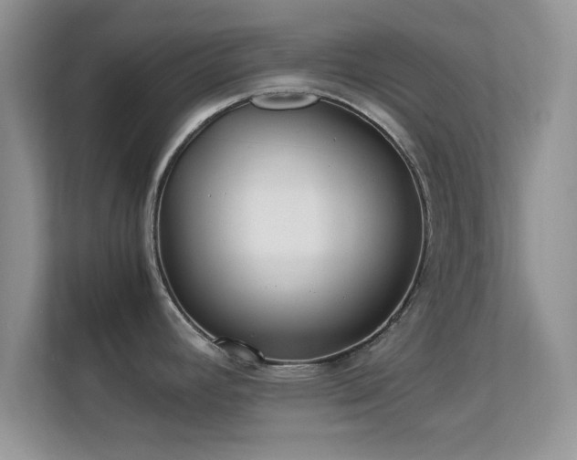 X0000113541392200909250917