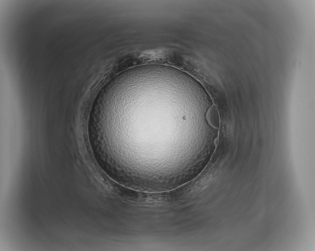 X0000113541393200909250916