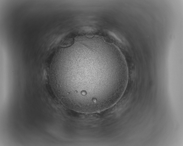 X0000113541397200909250917