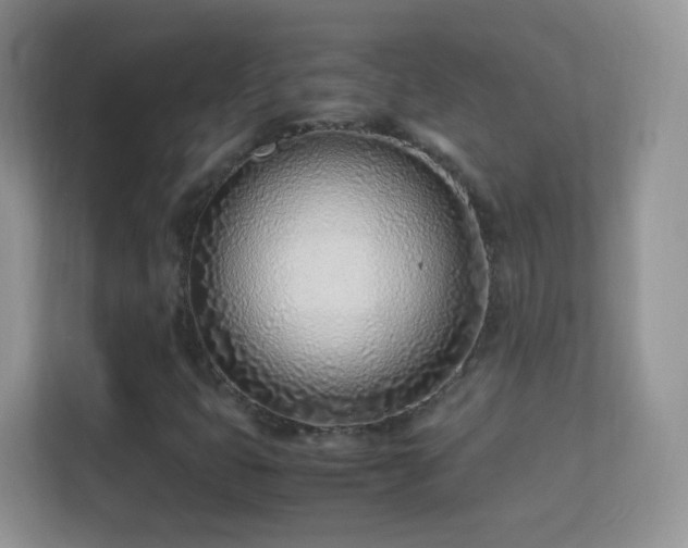 X0000113541399200909250917