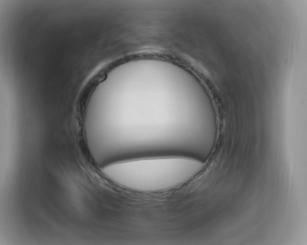 X0000113541400200909250917