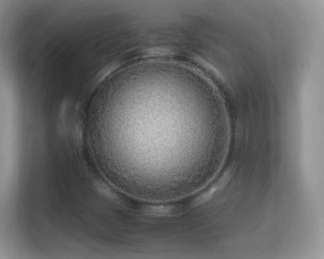 X0000113541401200909250917