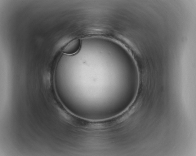 X0000113541402200909250917