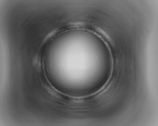 X0000113541403200909250917