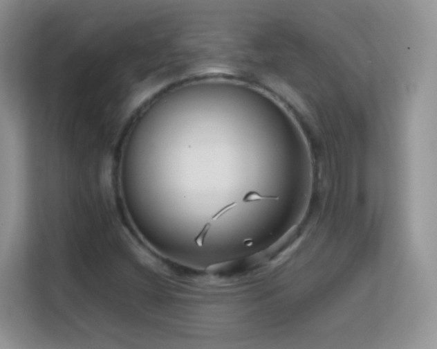X0000113541404200909250917