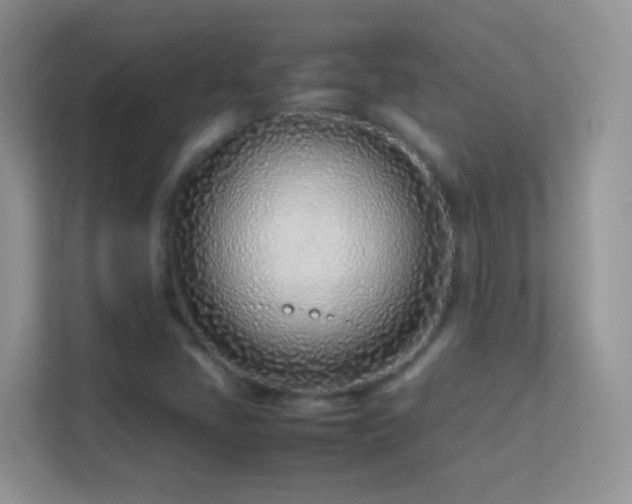 X0000113541405200909250917