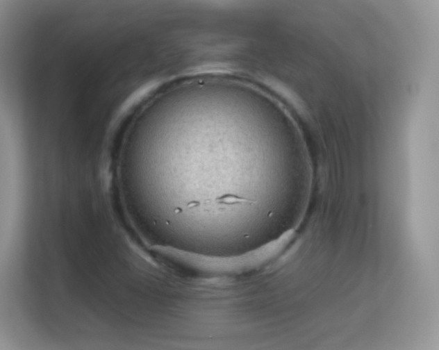 X0000113541406200909250917