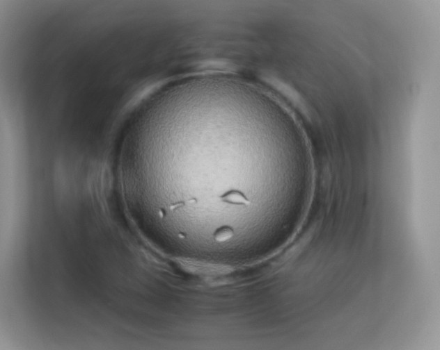 X0000113541407200909250917