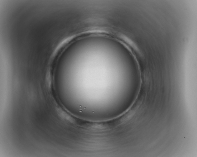 X0000113541408200909250917