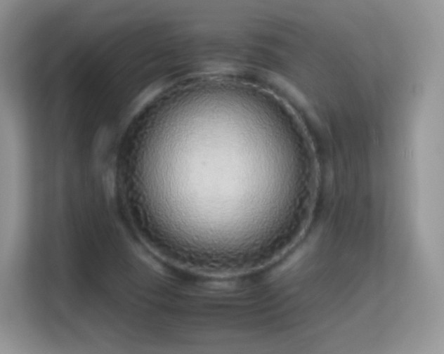 X0000113541409200909250917