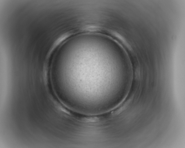 X0000113541410200909250917