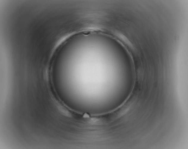 X0000113541412200909250917