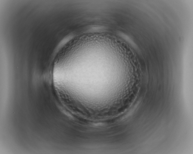 X0000113541413200909250917