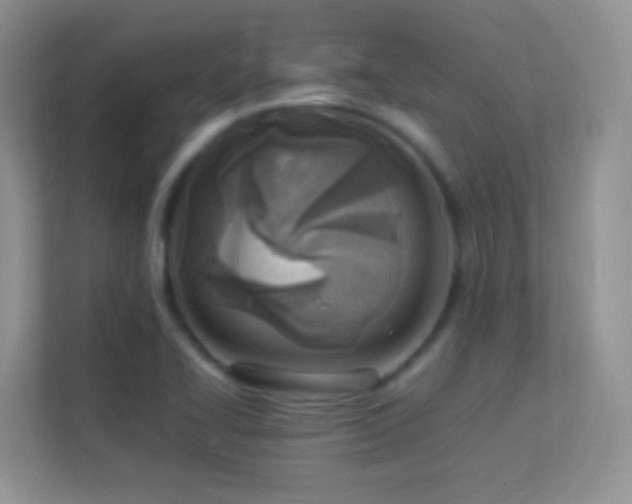 X0000113541414200909250917