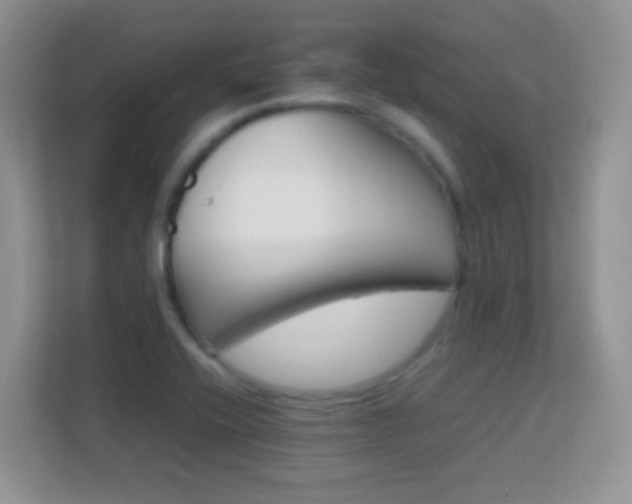 X0000113541416200909250917