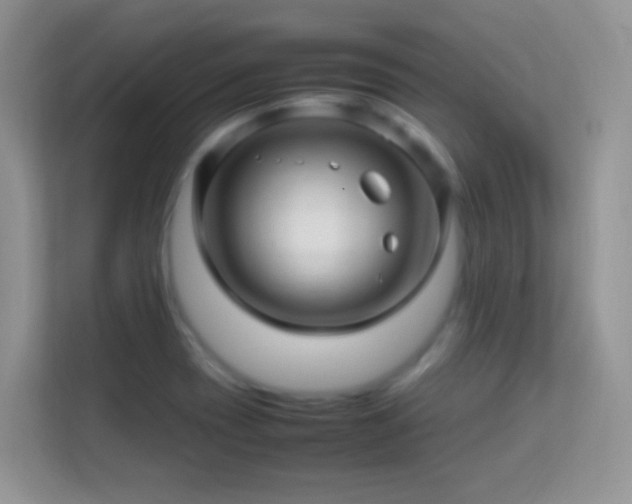 X0000113541417200909250917