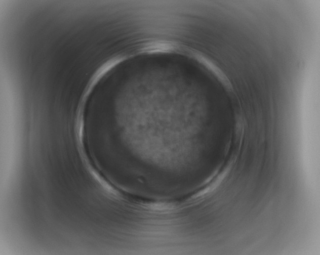 X0000113541418200909250917