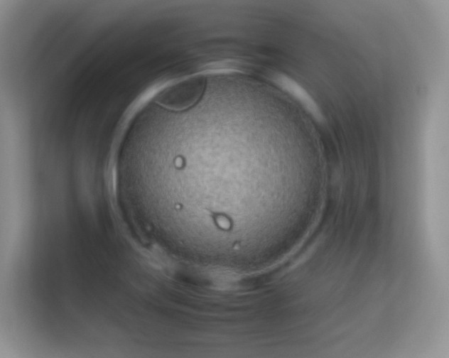 X0000113541419200909250917