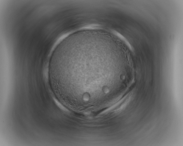 X0000113541421200909250917
