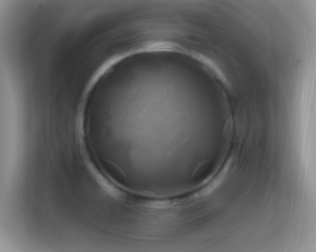 X0000113541422200909250917