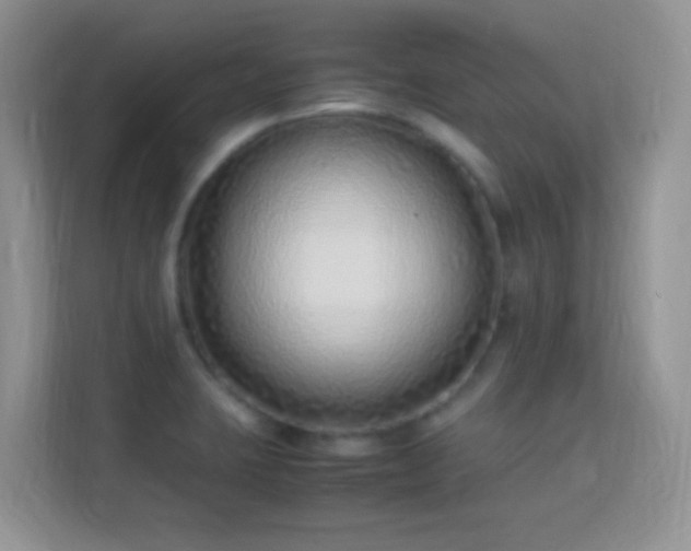 X0000113541423200909250917