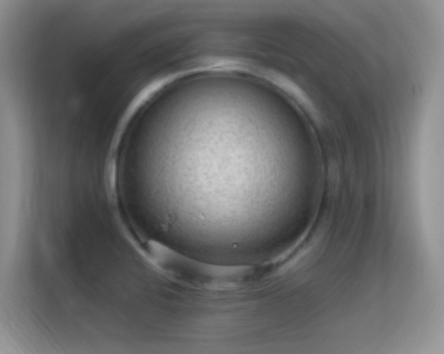 X0000113541424200909250917