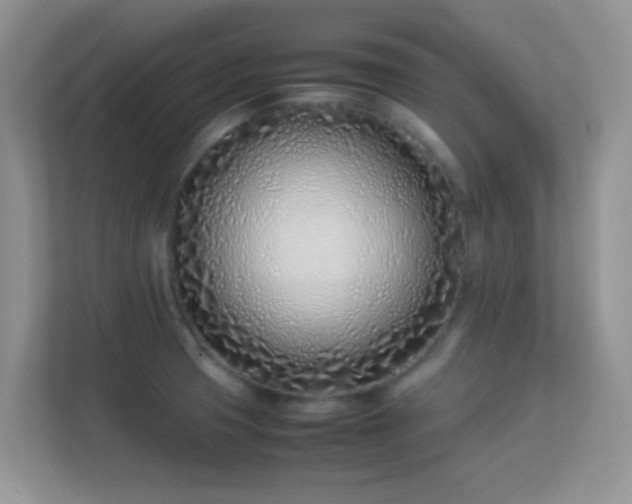 X0000113541425200909250917