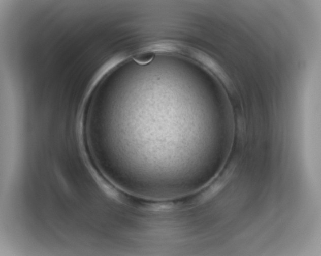 X0000113541426200909250917