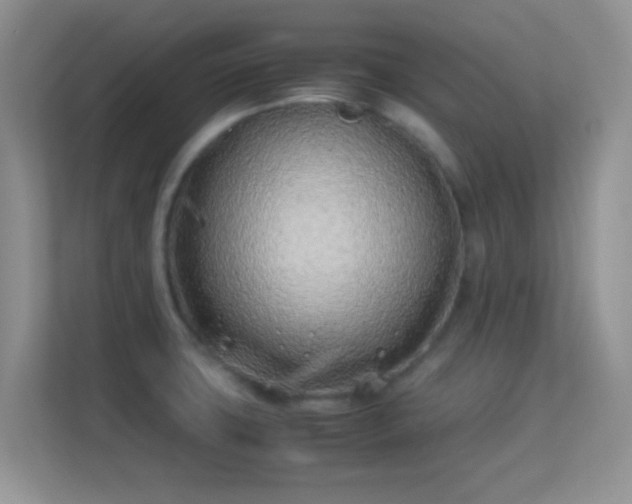 X0000113541427200909250917