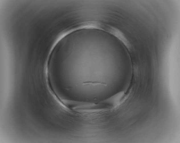 X0000113541428200909250917