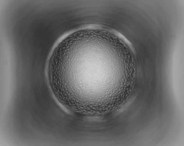 X0000113541429200909250917