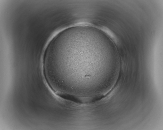X0000113541430200909250917