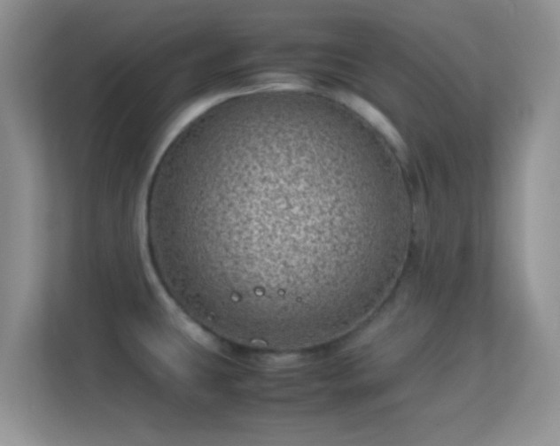 X0000113541431200909250917