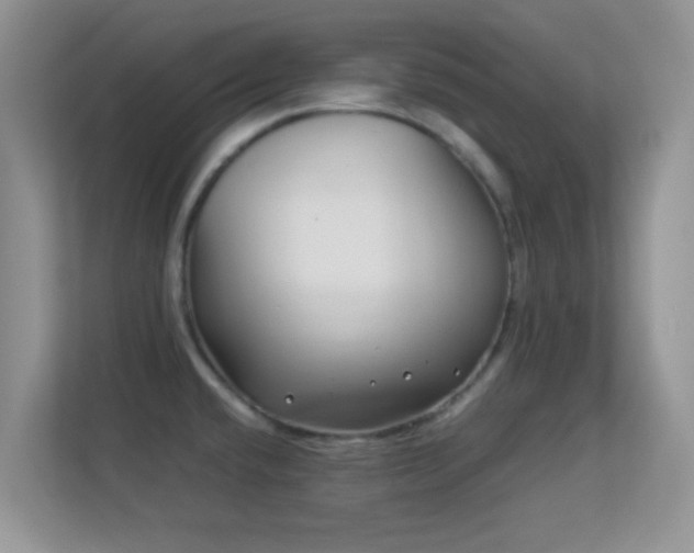 X0000113541432200909250917