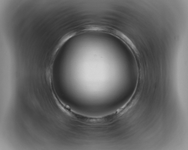 X0000113541433200909250917