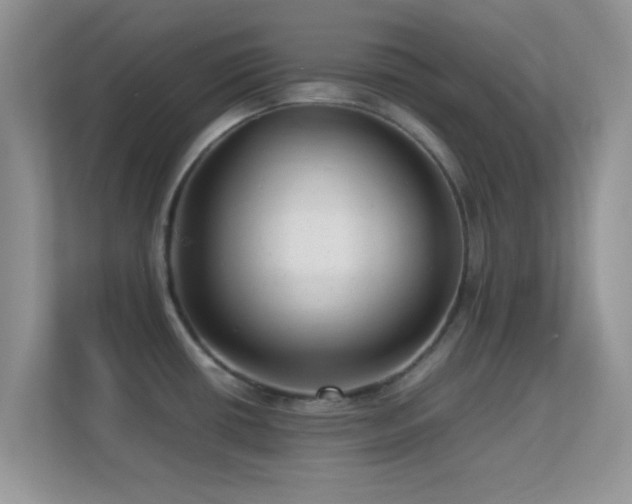 X0000113541434200909250917