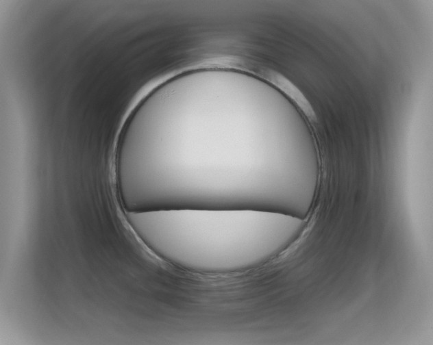 X0000113541436200909250917