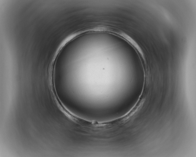 X0000113541437200909250917