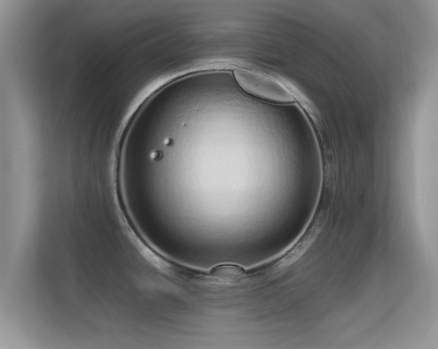 X0000113541438200909250917