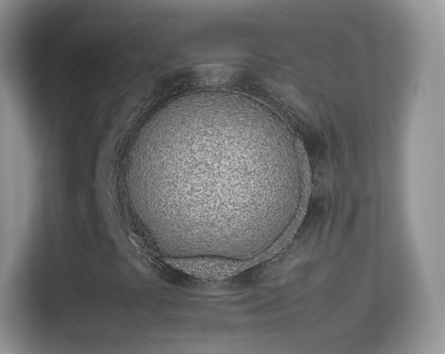 X0000113541441200909250916