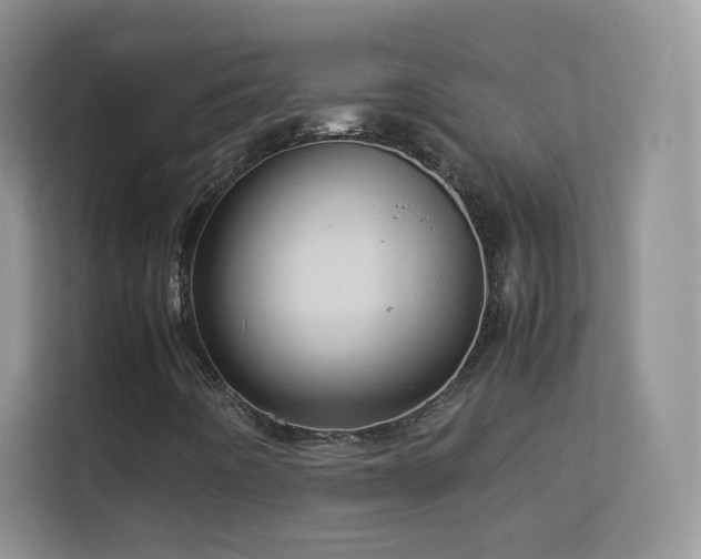 X0000113541442200909250916