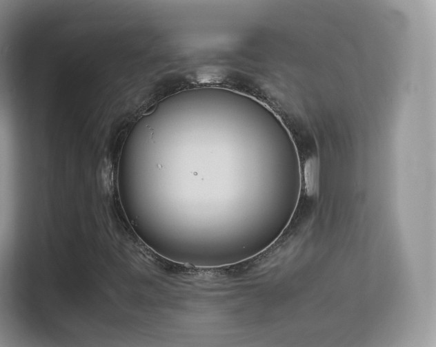 X0000113541443200909250916