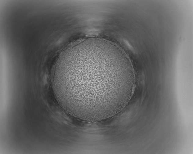 X0000113541445200909250916