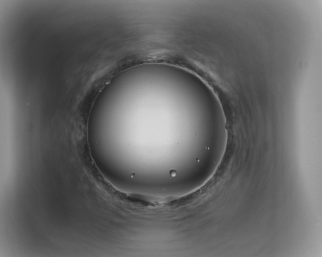 X0000113541447200909250916