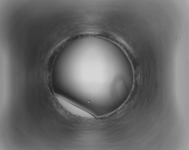 X0000113541448200909250916