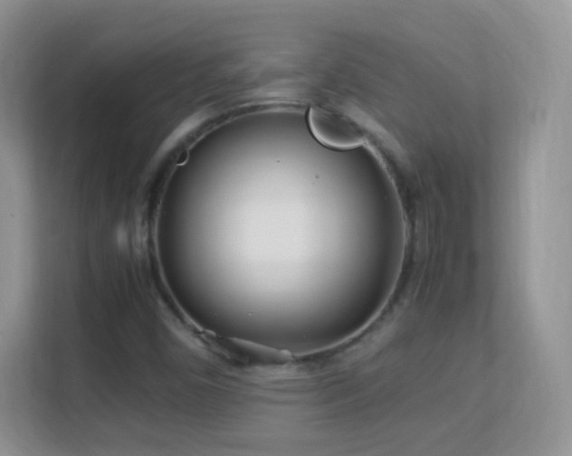 X0000113541450200909250916