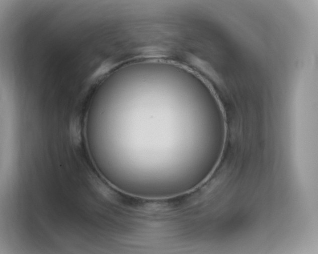 X0000113541451200909250916