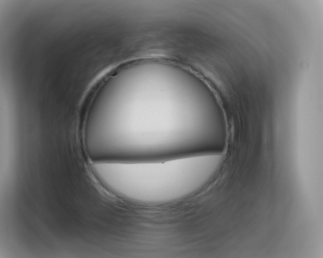 X0000113541452200909250916