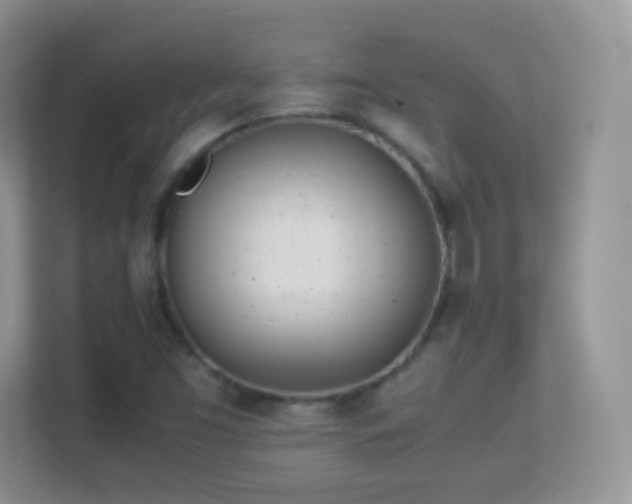 X0000113541453200909250916
