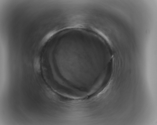 X0000113541455200909250916